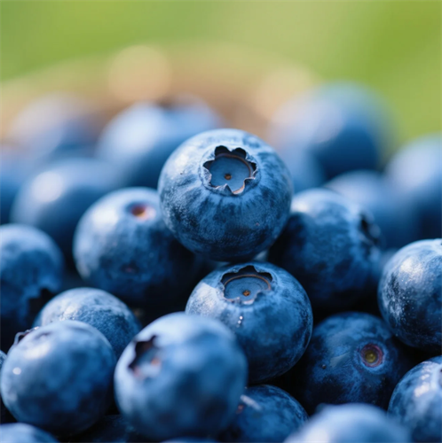 蓝莓.png
